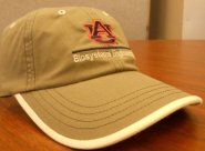 Dept Cap